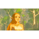 The Legend of Zelda: Breath of the Wild (Nintendo Switch) Games Nintendo 