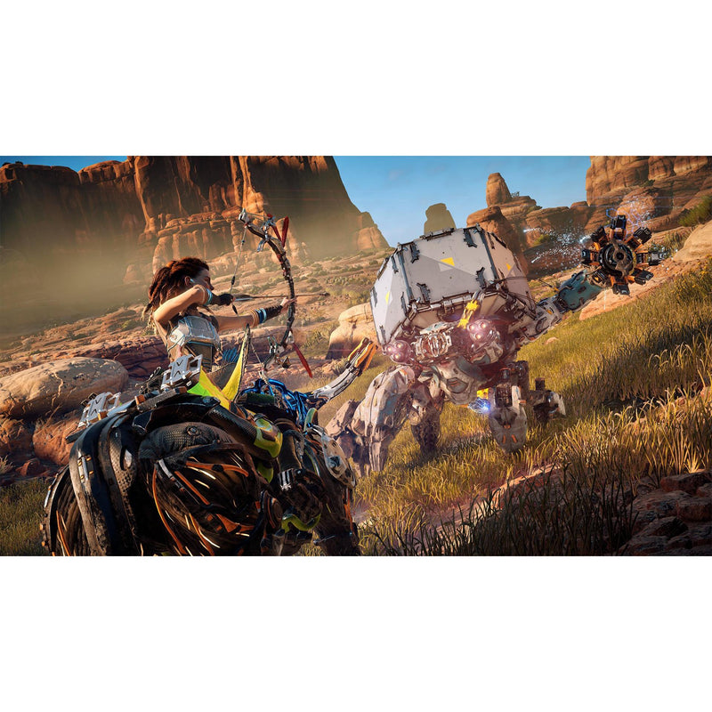 Horizon Zero Dawn (PS4) Games Sony Interactive Entertainment 